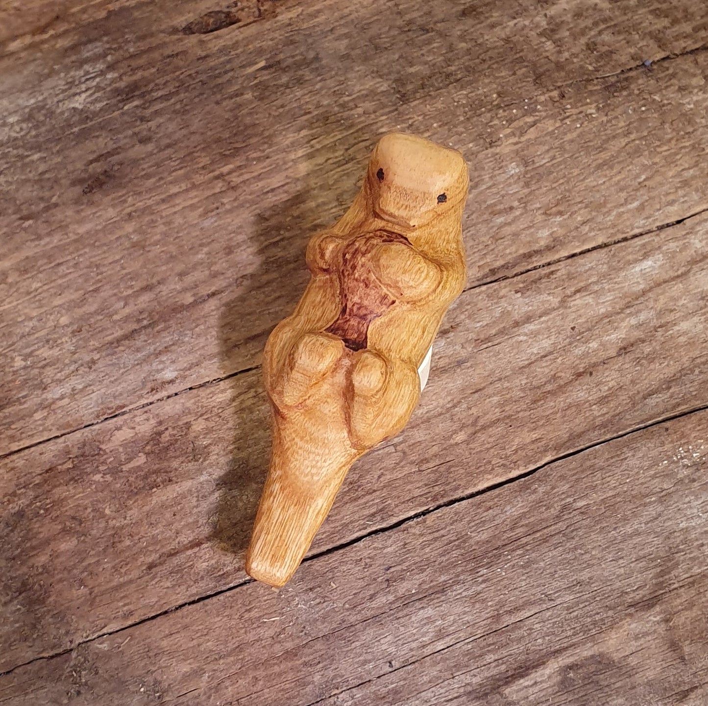 Biber, Fischotter und Dachs