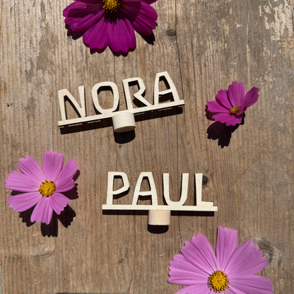 Namensstecker