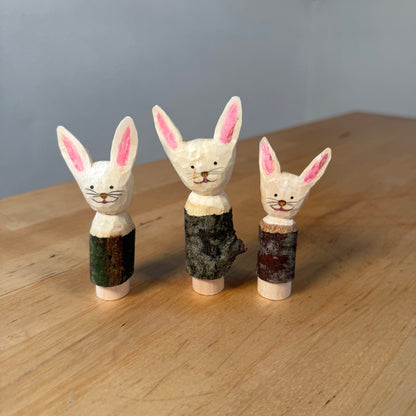 Hase