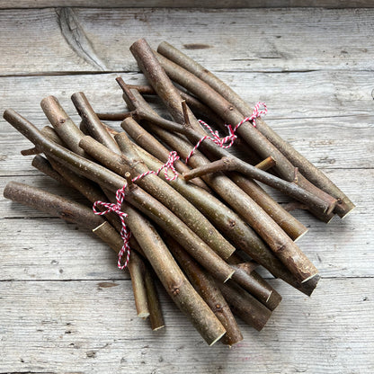Lindenäste