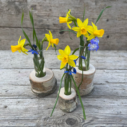 Vase Birke